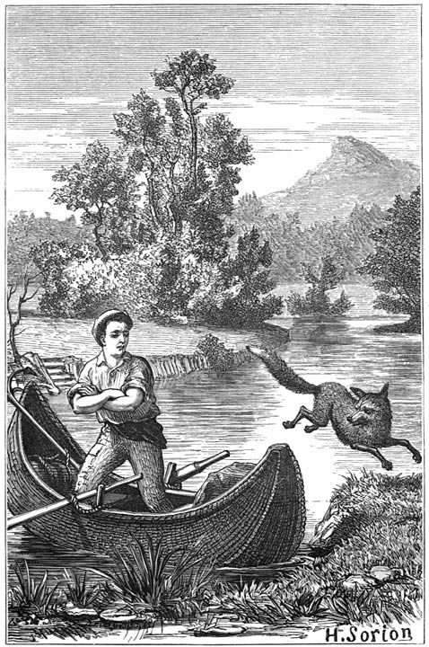 Acheria, the Fox.&mdash;p. 43.