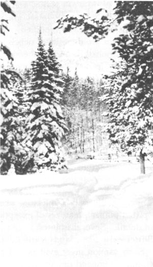 WINTER SCENE IN THE TETONS

Copyright, Crandall.