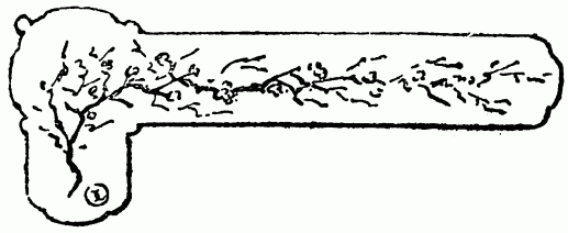 barra decorativa cap�tulo XIII