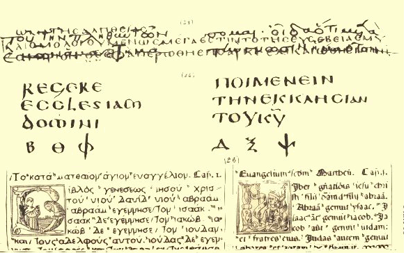 Plate X. Illustration.