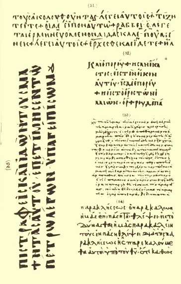 Plate XII. Illustration.