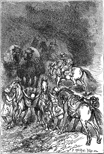 Met eene ontzettende snelheid daalde de wolk en viel als
een levende hagel neer. Bladz. 193.