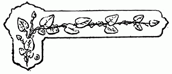 decoraci�n no disponible