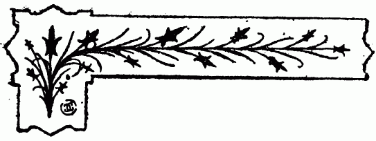 decoraci�n no disponible