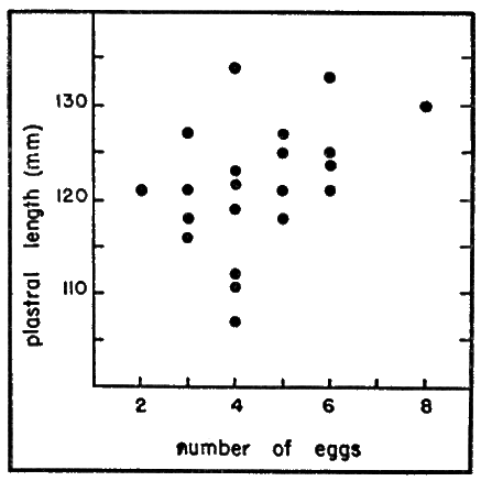 Fig. 6. The relation of plastral length
to number of eggs laid Fig. 6. The relation of plastral length
to number of eggs laid