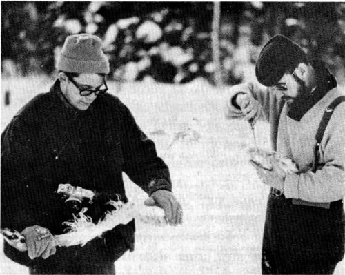 Figure 11.&mdash;The jaws and legs of kills were inspected
closely for abnormalities. (Photo courtesy of L. D. Frenzel.)