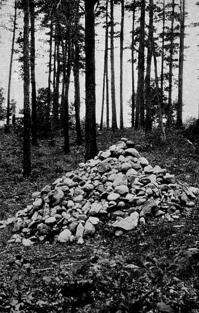 THE PILE OF STONES MARKING THE SITE OF THOREAU'S
CABIN, BY WALDEN POND