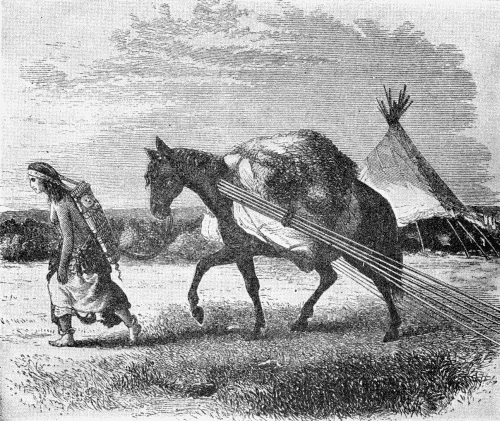 Fig. 3.&mdash;Horse travois.