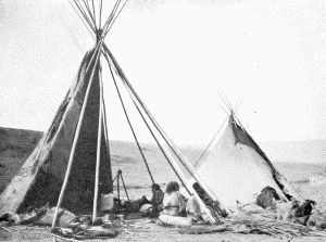 b. Crow camp at the old agency on the Yellowstone, near Shields River. Photograph by W. H.
Jackson, 1871

CROW TIPIS