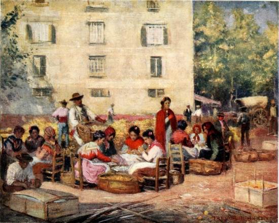 MALAGA&mdash;PACKING LEMONS