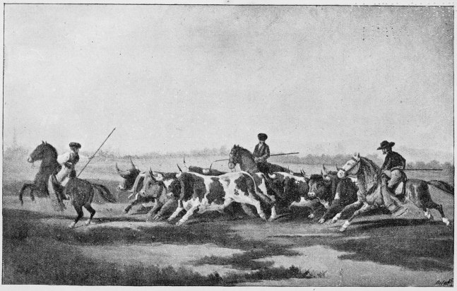 Plate XIII.

THE ENCIERRO.

Page 65.