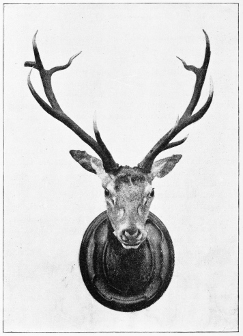 A ROYAL HEAD&mdash;DO�ANA.