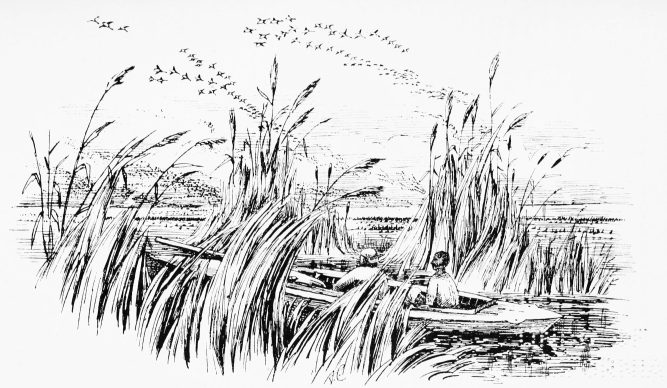 Plate LI.

"A HUNDRED AT A SHOT&mdash;NOW OR NEVER."

Page 400.