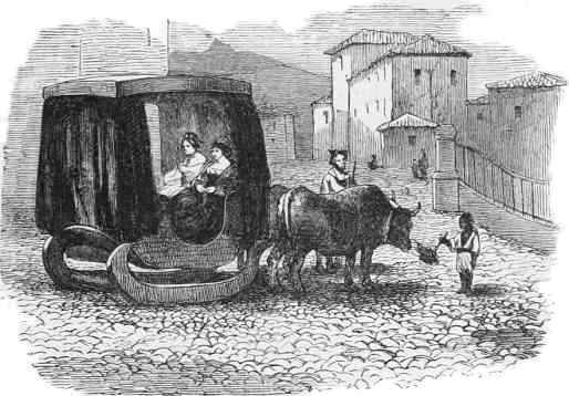 Instead of a carriage on wheels, a
carriage on wooden runners drawn by oxen over the snow-less cobblestone streets.