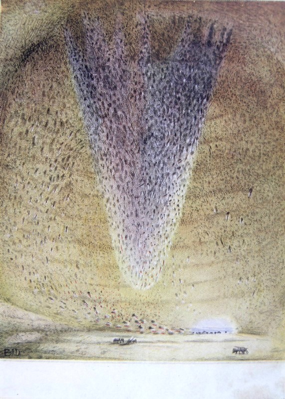 "The black throng issues, or rather pours forth, in a
throbbing, quivering stream"&mdash;