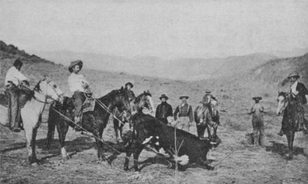 Fig. 9.&mdash;Branding Cattle.&mdash;Point to the Lariats.