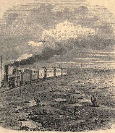 Dog Town&mdash;The Happy Family at Home.