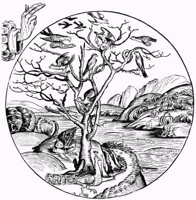 FIG. 10.&mdash;The Fifth Day of Creation. From Schedel’s
“Liber Chronicarum.” Nuremberg, 1493.