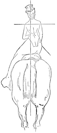 Fig. 21.&mdash;Crooked Position in Saddle. Miss X.