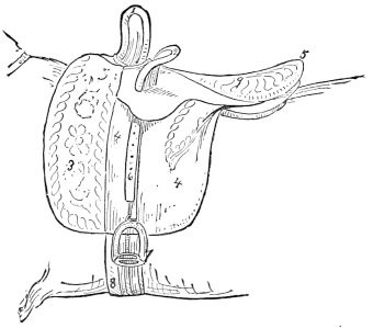 Fig. 7.&mdash;English Saddle.