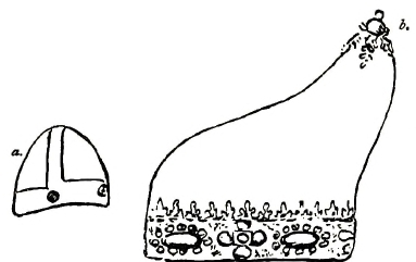 a. EARLY DUCAL CAP FROM AN OLD MOSAIC IN ST MARK

b. DUCAL CAP OF DOGE MORO, 1462-1471, FROM THE PORTRAIT IN S. GIOBBE