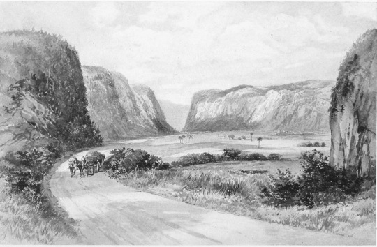 THE VINALES VALLEY

A scene in the heart of the wonderland of Pinar del Rio, which
innumerable tourists have declared second to no other spot in the world
in romantic beauty and fascinating charm. The combination of cliffs and
plain, with the rich coloring of tropical flora, is so bewildering as to
create the illusion of a stage-setting made for scenic effect by some
master artist.