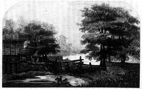 SCENE ON THE
RIVER BELOW M'VEYTOWN