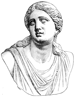 Fig. 224.&mdash;Head of Niobe.
