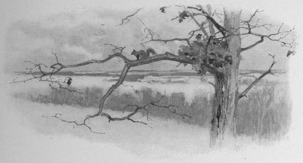 From his leafless height he looks down into the
Hollow