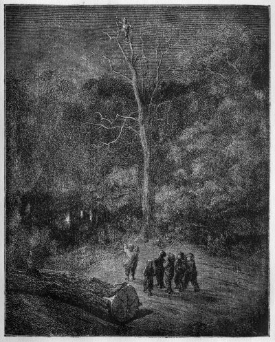 Der kleine D&auml;umling klettert
auf einen Baum und sieht ein Licht