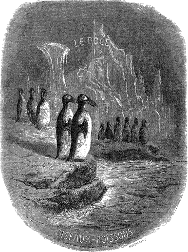 LE P�LE - OISEAUX-POISSONS