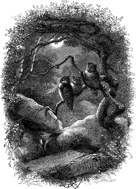 LA LUMI�RE - LA NUIT