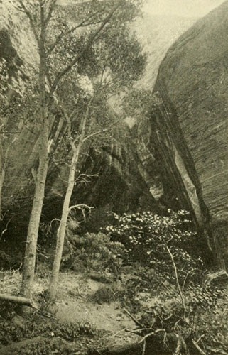 The Music Temple
Alcove, Glen Canyon.