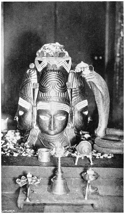 DEV&Icirc; AND THE COBRA.