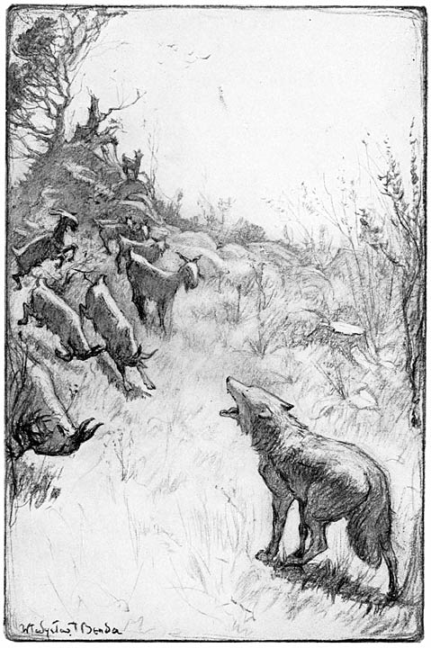 Took his place in the middle of the field, with his mouth wide open