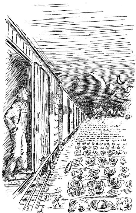 Surely my hunger must be causing some horrible
nightmare