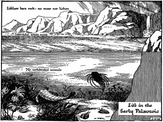 Life in the Early Palæozoic

Note its general resemblance, except for size, to the microscopic summer
ditch-water life of to-day.