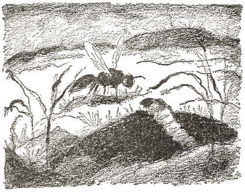 a big Gray Worm made up his mind
  to leave his lair and come up to the light of day