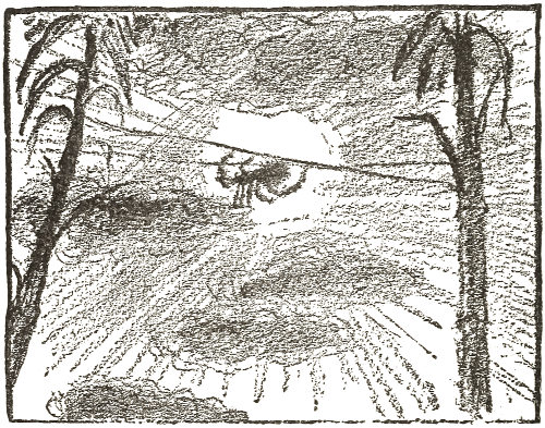 These are suspension-bridges;
  and my beasties nimbly run along them