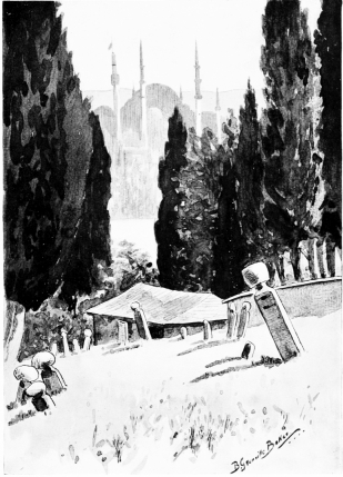 The Mosque of Suleiman and the Tower of the War Office

Seen from the height where stands the wireless telegraphy station.