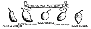 THE OLIVES WE EAT
OLIVE de LUCQUES
OLIVE PECHELINE
OLIVE VERDALE
OLIVE ROUGET
OLIVE OLIVER