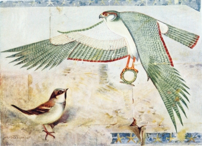 SPARROW

In the Temple at Deir-el-Bahari.