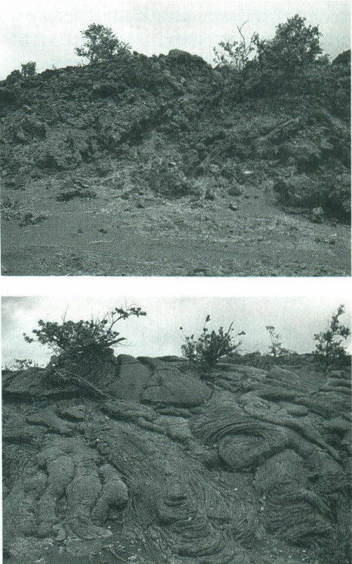 Two Polynesian terms are used to identify the surface character of Hawaiian lava flows. Aa, a basalt with a rough, blocky appearance, much like furnace slag, is shown at the top. Pahoehoe, a more fluid variety with a smooth, satiny and sometimes glassy appearance, is shown at the bottom.