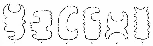 Fig. 45. Obsidian objects found in a mound near Benque Viejo.