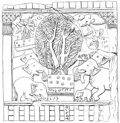 Fig. 20.&mdash;Wild elephants paying their devotions to the sacred banian of K&acirc;syapa Buddha.(The St&ucirc;pa of Bharhut, Plate xv.)