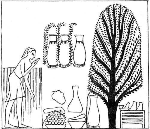 Fig. 21.&mdash;Sacred sycamore, with offerings.(Maspero, op. cit.)
