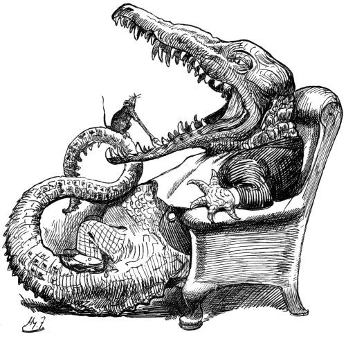 &lsquo;HE WRENCHED OUT THAT CROCODILE&rsquo;S TOOF!&rsquo;