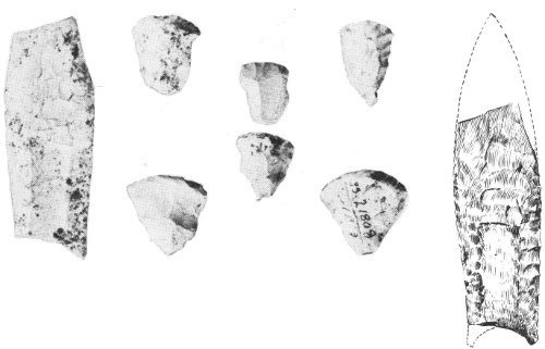 Broken Clovis point and sharp-cornered scrapers from Ocmulgee excavations. Point length 3&sup1;&sup1;/₁₆ inches. Artist&rsquo;s reconstruction of point at left.