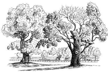 BOSCOBEL OAKS, 1804.

Page 27.

