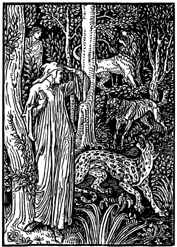 [Image unavailable.]